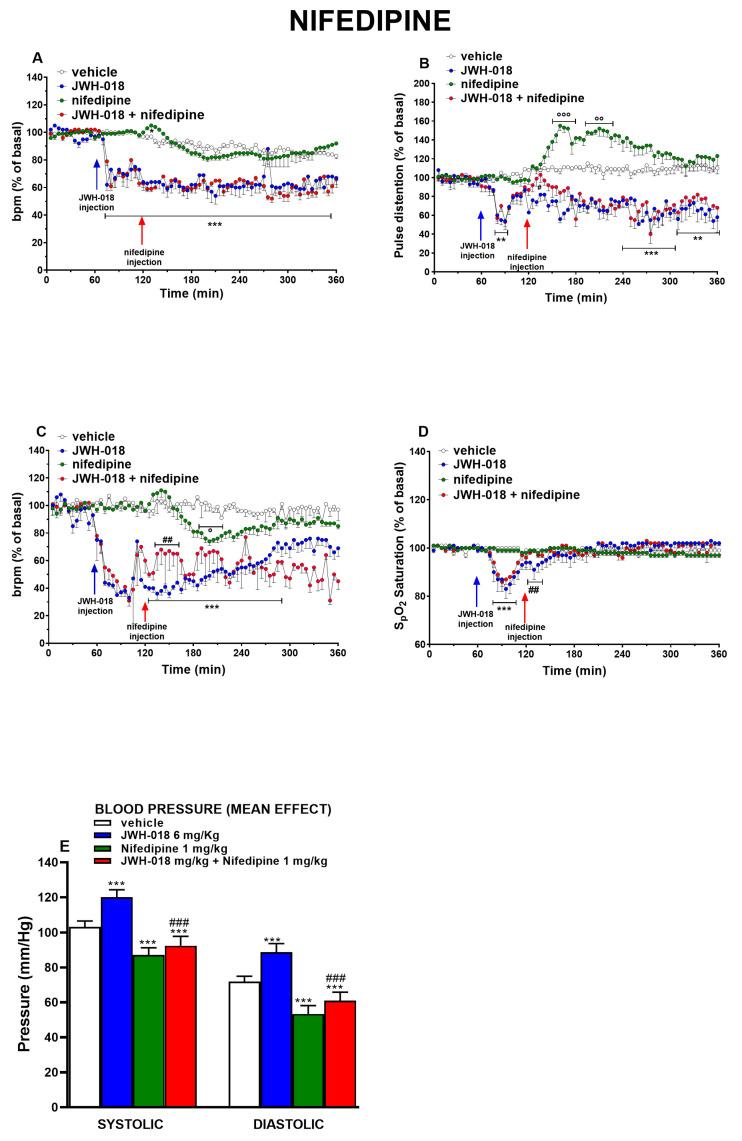 https://cdn.ncbi.nlm.nih.gov/pmc/blobs/0c13/10142259/0cfaa89eb2a4/ijms-24-07515-g005.jpg