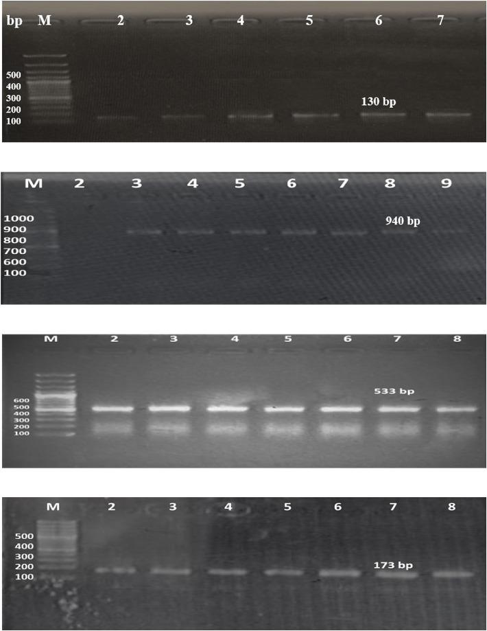 https://cdn.ncbi.nlm.nih.gov/pmc/blobs/0c14/11832270/2af5ac065187/JTM2025-8755082.001.jpg