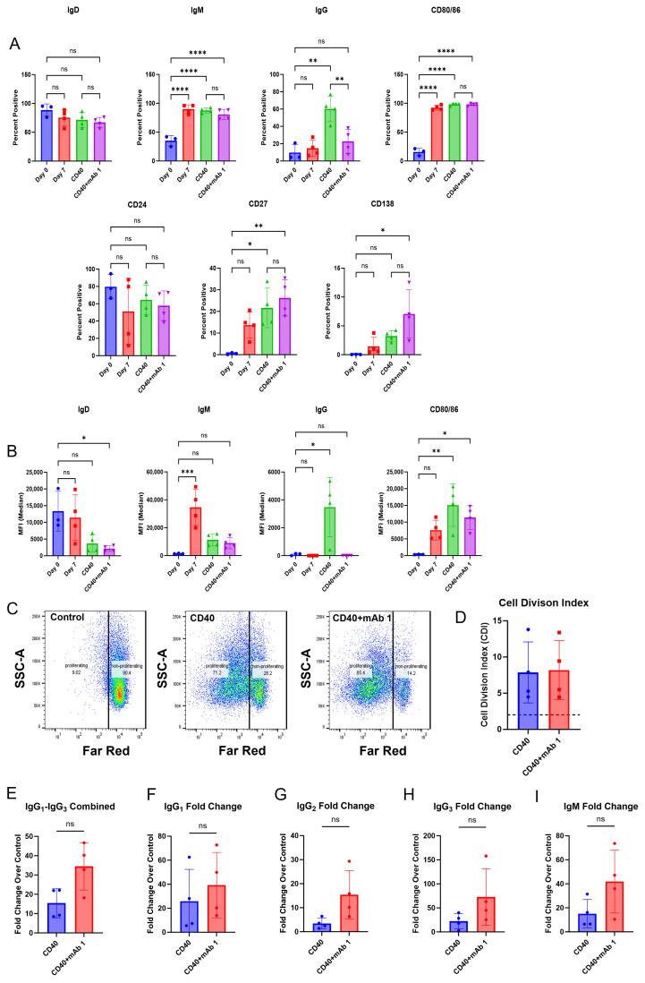 https://cdn.ncbi.nlm.nih.gov/pmc/blobs/0c14/12372046/5fe719cbc637/antibodies-14-00062-g003.jpg