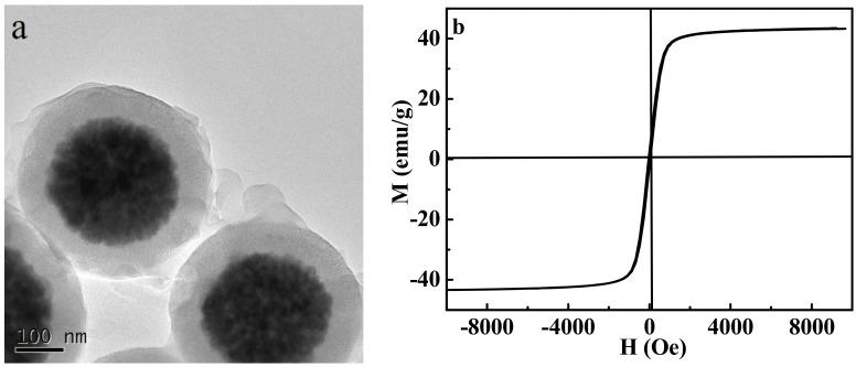 https://cdn.ncbi.nlm.nih.gov/pmc/blobs/0c15/6099399/444aed5c2afe/molecules-23-01554-g002.jpg