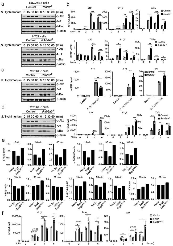 https://cdn.ncbi.nlm.nih.gov/pmc/blobs/0c15/8085087/635bbc2b6d82/nihms-1662264-f0002.jpg