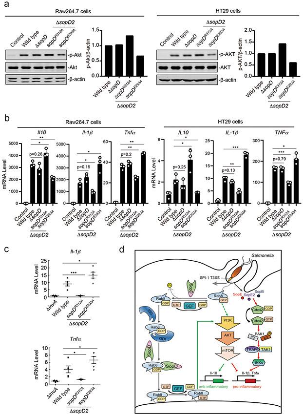 https://cdn.ncbi.nlm.nih.gov/pmc/blobs/0c15/8085087/9d24b4410ddf/nihms-1662264-f0006.jpg