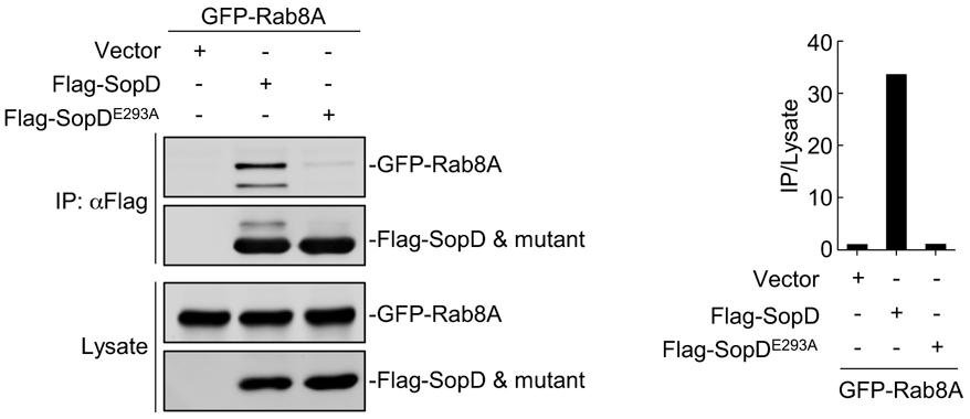 https://cdn.ncbi.nlm.nih.gov/pmc/blobs/0c15/8085087/ad135030aa9f/nihms-1662264-f0014.jpg