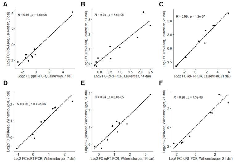 https://cdn.ncbi.nlm.nih.gov/pmc/blobs/0c16/7664628/262b380635e0/ijms-21-08381-g003.jpg