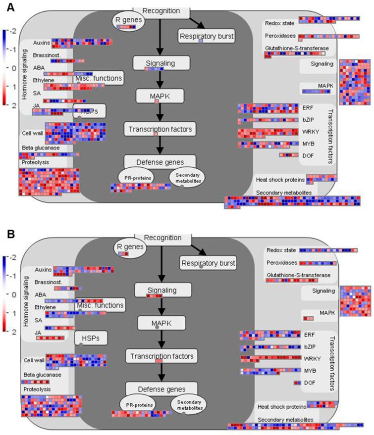 https://cdn.ncbi.nlm.nih.gov/pmc/blobs/0c16/7664628/d732b61f14bc/ijms-21-08381-g004.jpg