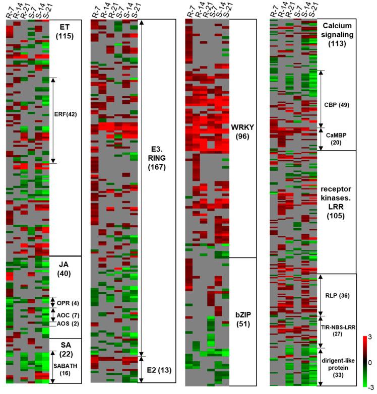 https://cdn.ncbi.nlm.nih.gov/pmc/blobs/0c16/7664628/e2b929e5407d/ijms-21-08381-g006.jpg