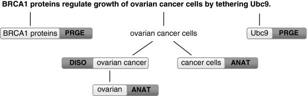 https://cdn.ncbi.nlm.nih.gov/pmc/blobs/0c19/3849280/6c79c03475cb/1471-2105-14-281-5.jpg