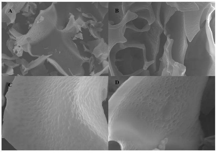 https://cdn.ncbi.nlm.nih.gov/pmc/blobs/0c1a/11085417/52777d3b07d7/molecules-29-02076-g004.jpg