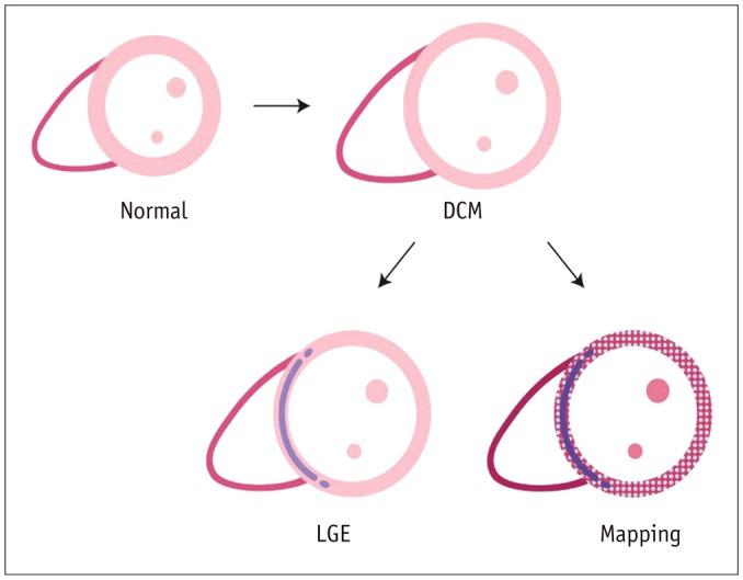 https://cdn.ncbi.nlm.nih.gov/pmc/blobs/0c1c/5240500/e2eba589986a/kjr-18-113-g007.jpg
