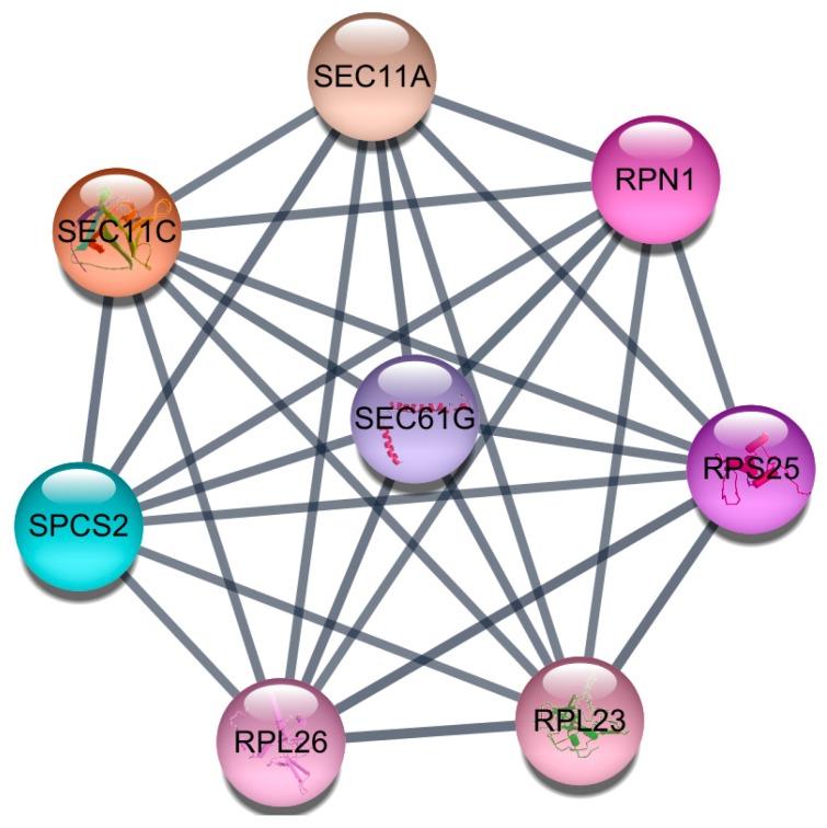 https://cdn.ncbi.nlm.nih.gov/pmc/blobs/0c1c/6463127/8a159b072e52/jcm-08-00297-g001.jpg