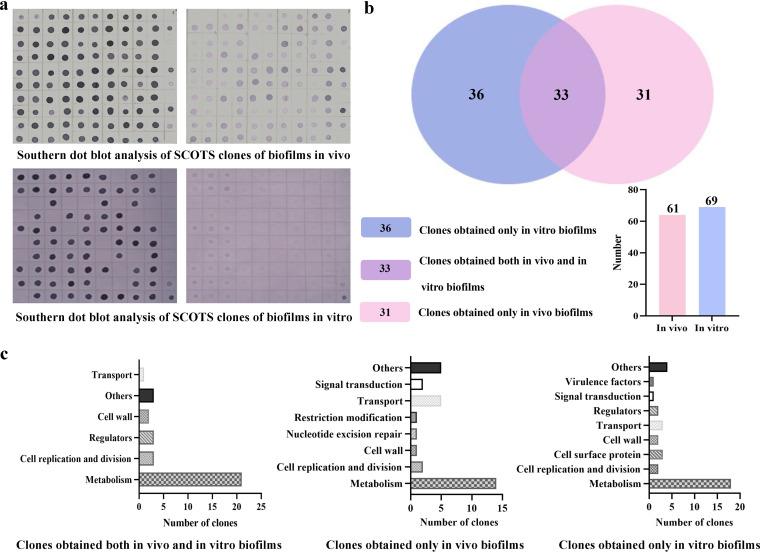 https://cdn.ncbi.nlm.nih.gov/pmc/blobs/0c1c/9927446/fd89309b0073/spectrum.02686-22-f005.jpg