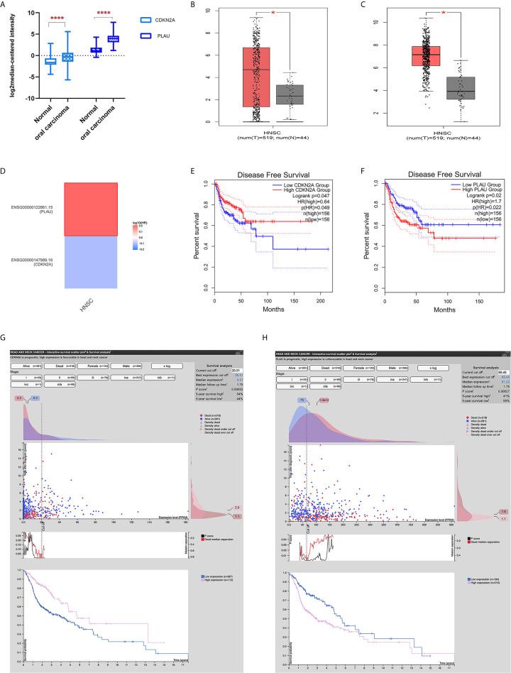 https://cdn.ncbi.nlm.nih.gov/pmc/blobs/0c21/8100439/efc3b28b54eb/fonc-11-660615-g002.jpg
