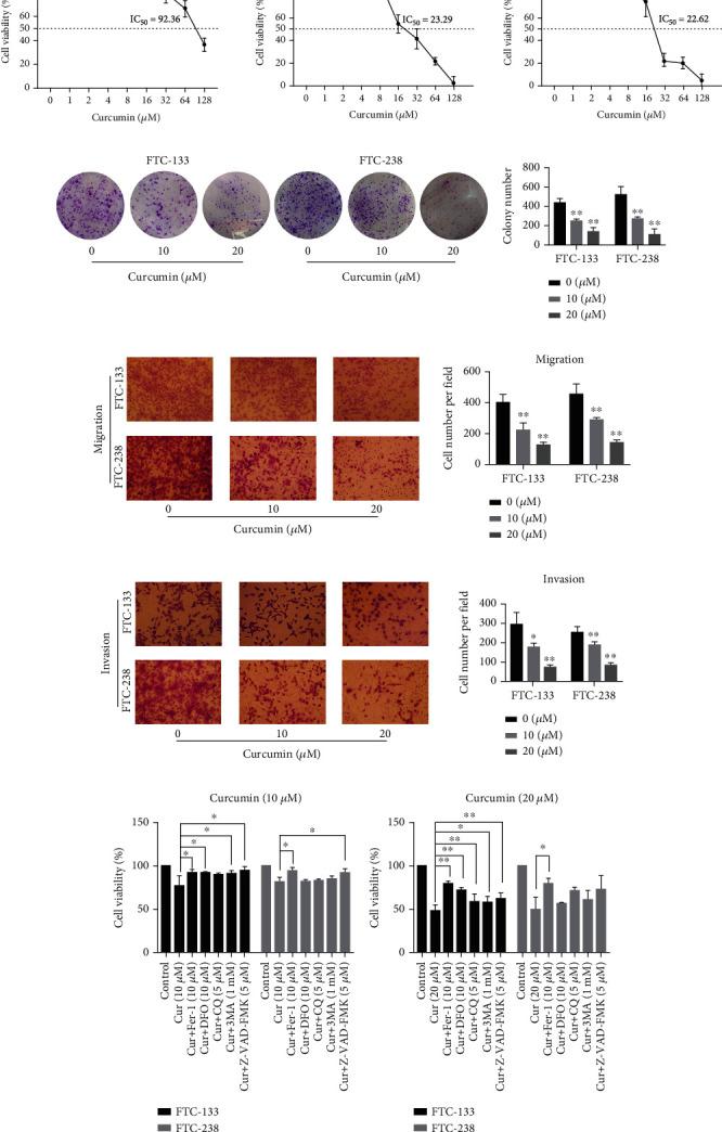 https://cdn.ncbi.nlm.nih.gov/pmc/blobs/0c21/9867595/2c755a2b3453/OMCL2023-6896790.003.jpg