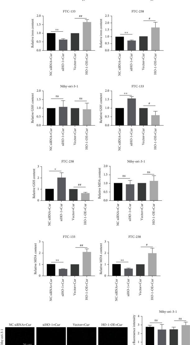 https://cdn.ncbi.nlm.nih.gov/pmc/blobs/0c21/9867595/8f334d5673e7/OMCL2023-6896790.005.jpg