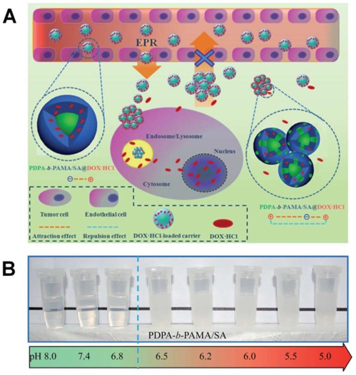 https://cdn.ncbi.nlm.nih.gov/pmc/blobs/0c23/5996358/d62e5b622874/thnov08p3038g003.jpg
