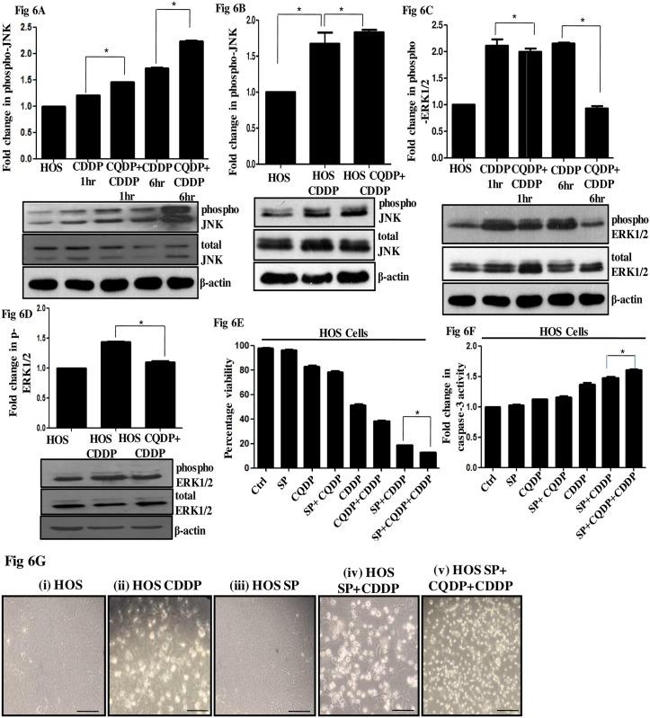 https://cdn.ncbi.nlm.nih.gov/pmc/blobs/0c24/5466322/40047299253f/pone.0179203.g006.jpg