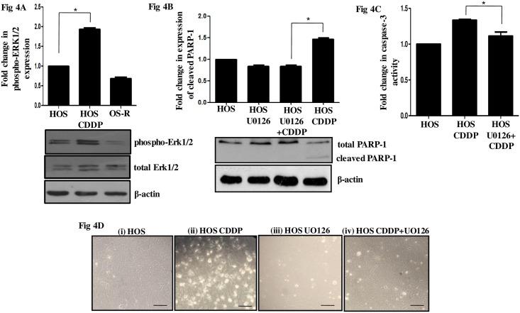 https://cdn.ncbi.nlm.nih.gov/pmc/blobs/0c24/5466322/57769e352886/pone.0179203.g004.jpg