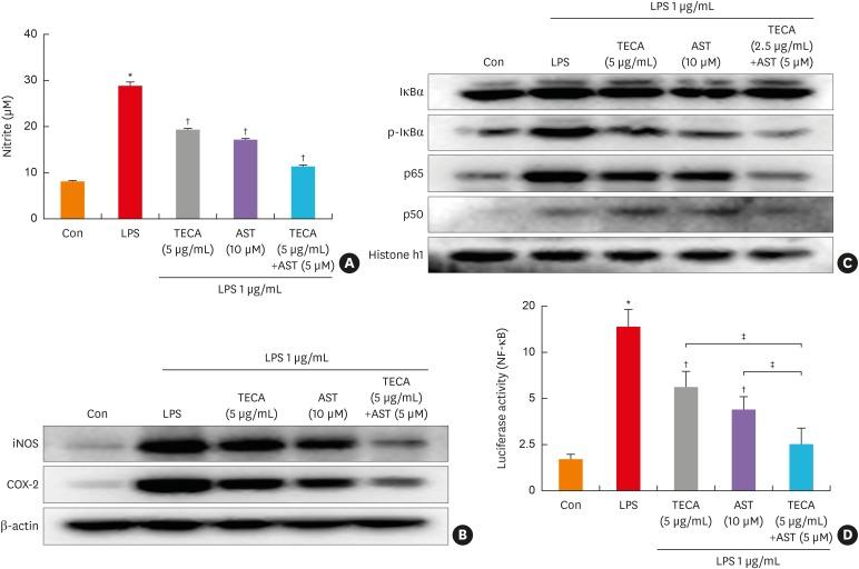 https://cdn.ncbi.nlm.nih.gov/pmc/blobs/0c24/6557773/3ee8e00f17b8/aair-11-548-g005.jpg