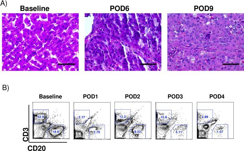 https://cdn.ncbi.nlm.nih.gov/pmc/blobs/0c25/6248961/2e194fd87c90/pone.0207272.g006.jpg