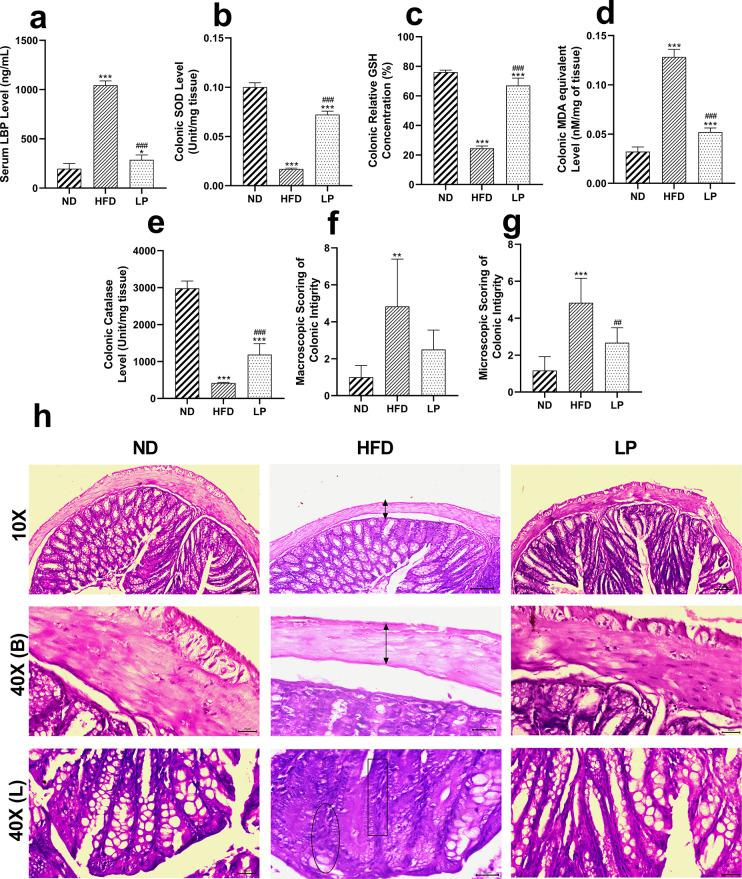https://cdn.ncbi.nlm.nih.gov/pmc/blobs/0c26/11556687/e0de144fa08f/pone.0313548.g004.jpg
