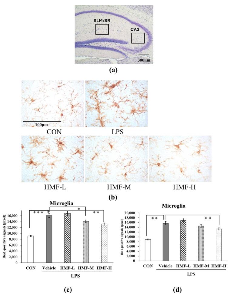 https://cdn.ncbi.nlm.nih.gov/pmc/blobs/0c26/11643645/47d3559d2b9a/molecules-29-05559-g004.jpg