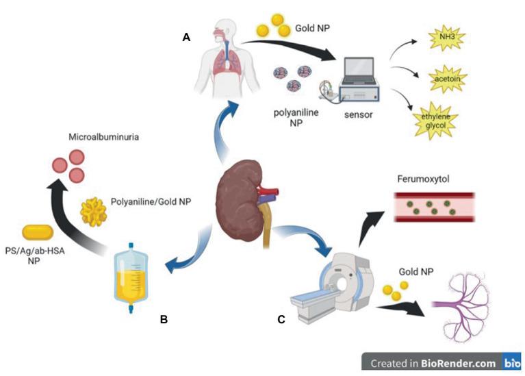https://cdn.ncbi.nlm.nih.gov/pmc/blobs/0c28/10149997/00505c8c3561/fmed-10-1132355-g001.jpg