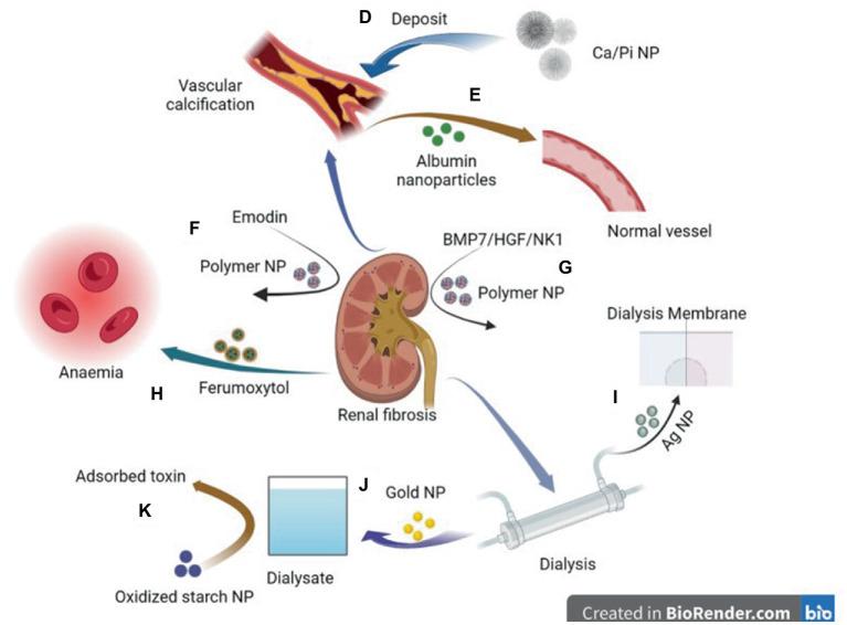 https://cdn.ncbi.nlm.nih.gov/pmc/blobs/0c28/10149997/167b69b05401/fmed-10-1132355-g002.jpg