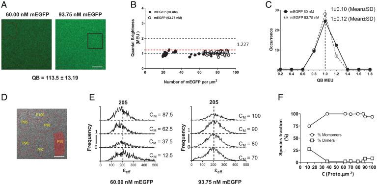 https://cdn.ncbi.nlm.nih.gov/pmc/blobs/0c29/9214538/6f702846348f/pnas.2201103119fig05.jpg