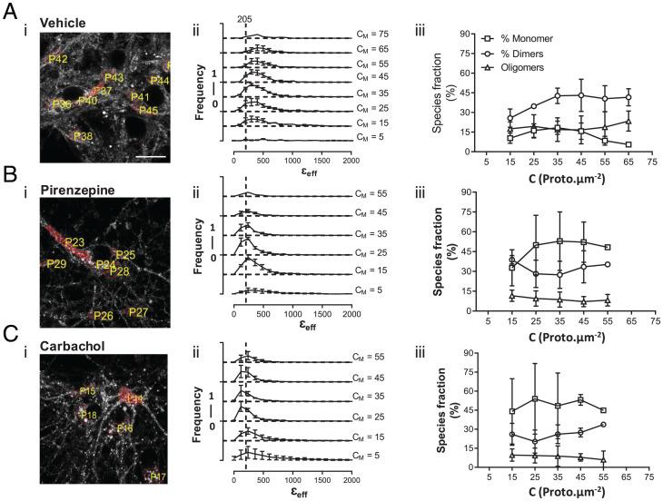 https://cdn.ncbi.nlm.nih.gov/pmc/blobs/0c29/9214538/c43eeb0ba4dc/pnas.2201103119fig06.jpg
