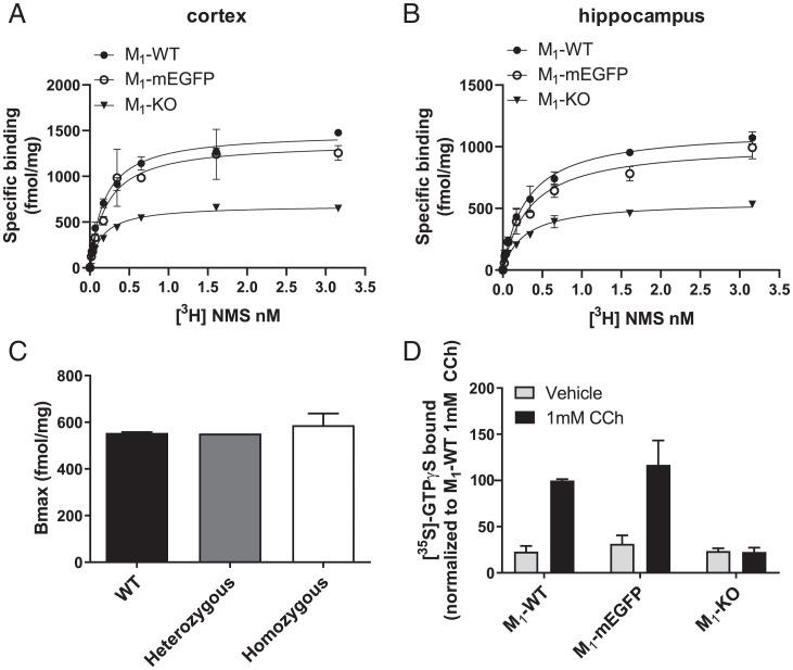 https://cdn.ncbi.nlm.nih.gov/pmc/blobs/0c29/9214538/d0fda6be8353/pnas.2201103119fig02.jpg