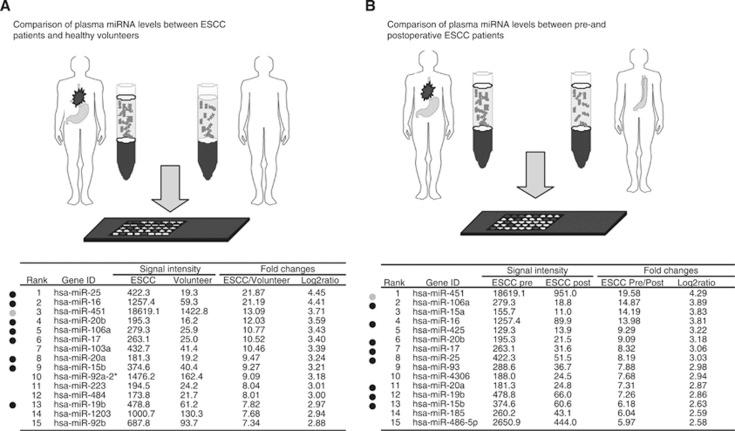 https://cdn.ncbi.nlm.nih.gov/pmc/blobs/0c2a/4200091/11952d3de150/bjc2014451f2.jpg