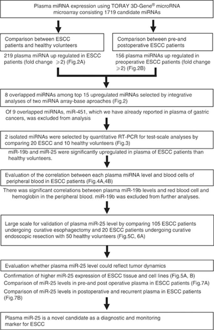 https://cdn.ncbi.nlm.nih.gov/pmc/blobs/0c2a/4200091/a0534bf6004c/bjc2014451f1.jpg