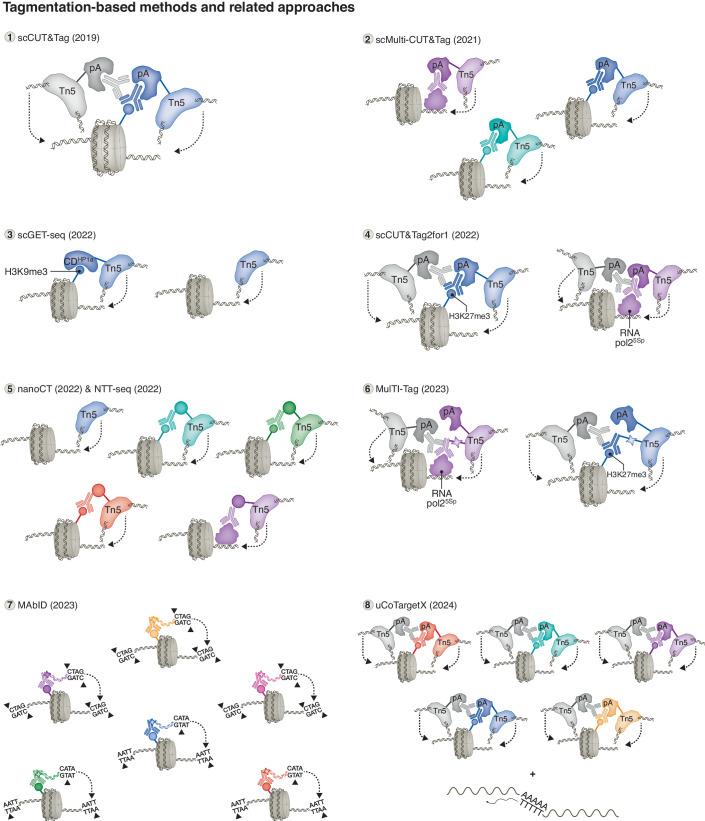 https://cdn.ncbi.nlm.nih.gov/pmc/blobs/0c2c/11316037/4c785e0374b6/44319_2024_199_Fig3_HTML.jpg