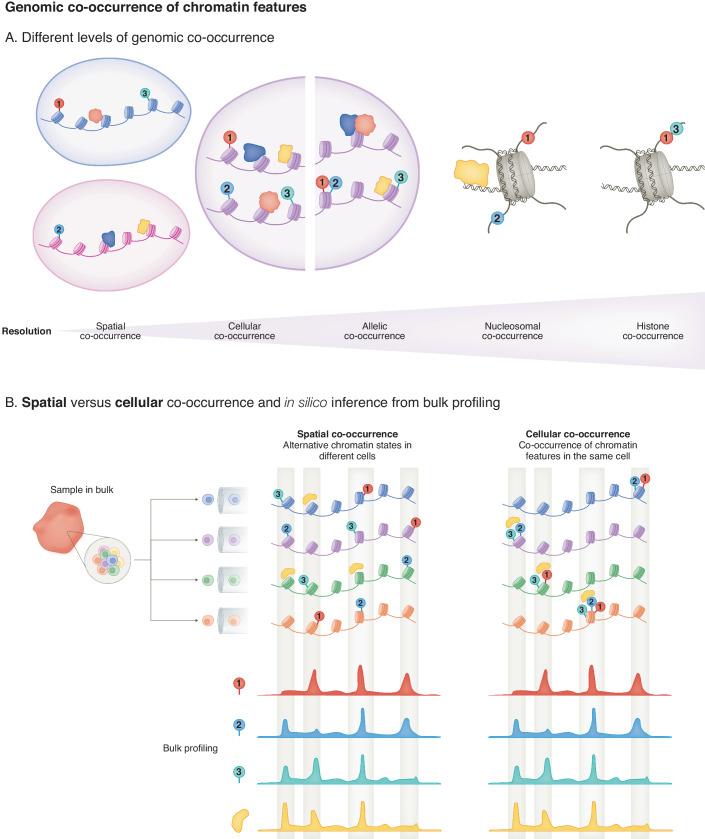 https://cdn.ncbi.nlm.nih.gov/pmc/blobs/0c2c/11316037/f1ff3cdc9013/44319_2024_199_Fig1_HTML.jpg