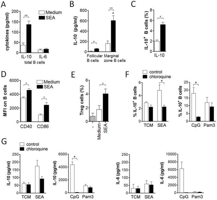 https://cdn.ncbi.nlm.nih.gov/pmc/blobs/0c2e/5550006/97d6ef6f9a30/ppat.1006539.g005.jpg