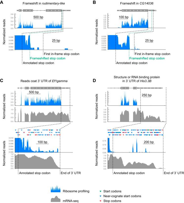 https://cdn.ncbi.nlm.nih.gov/pmc/blobs/0c2f/3840789/7333b622e4f3/elife01179fs008.jpg