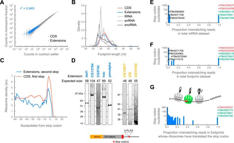 https://cdn.ncbi.nlm.nih.gov/pmc/blobs/0c2f/3840789/d56764754f22/elife01179f004.jpg
