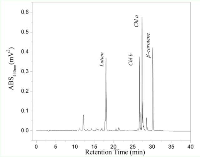 https://cdn.ncbi.nlm.nih.gov/pmc/blobs/0c2f/4206223/23db7965b2c9/jis-14-1-0031-fig3.jpg