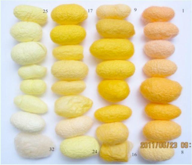 https://cdn.ncbi.nlm.nih.gov/pmc/blobs/0c2f/4206223/ae37dad7fb36/jis-14-1-0031-fig7.jpg