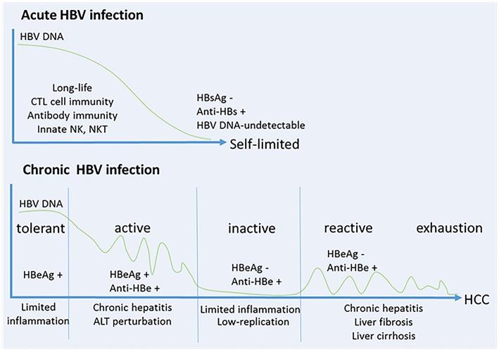 https://cdn.ncbi.nlm.nih.gov/pmc/blobs/0c2f/6718466/4836a604967f/fimmu-10-02048-g0001.jpg