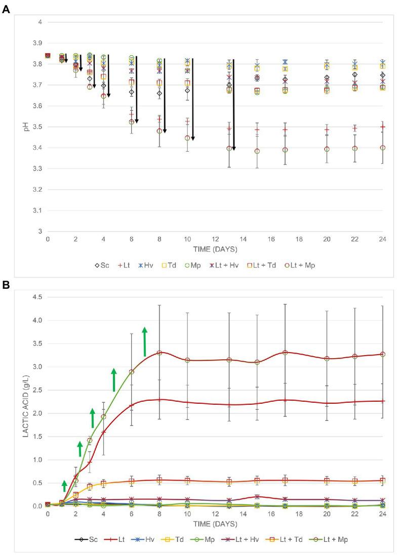 https://cdn.ncbi.nlm.nih.gov/pmc/blobs/0c30/8117230/ce6c9da02f49/fmicb-12-656262-g006.jpg