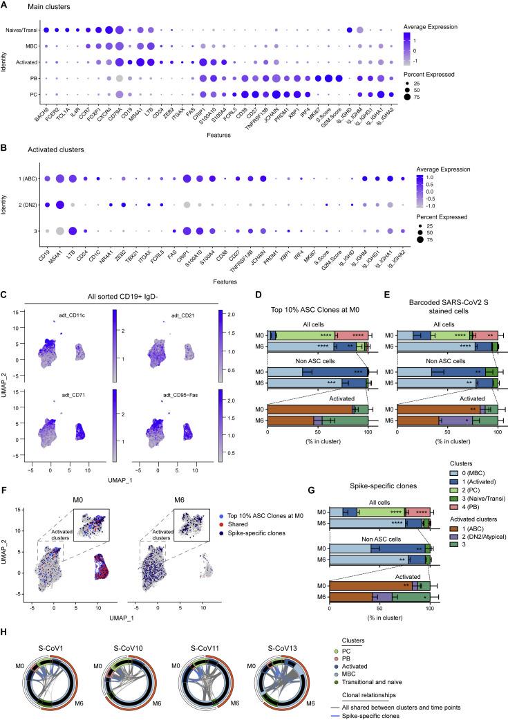 https://cdn.ncbi.nlm.nih.gov/pmc/blobs/0c31/7994111/430afefc0f04/figs2_lrg.jpg