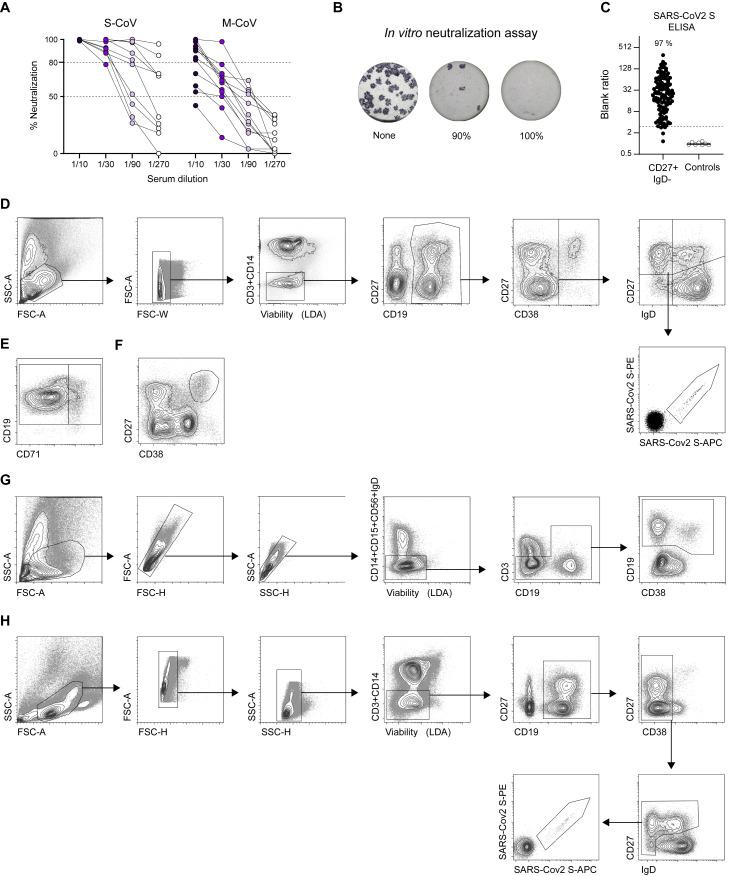 https://cdn.ncbi.nlm.nih.gov/pmc/blobs/0c31/7994111/e978d387cf95/figs1_lrg.jpg