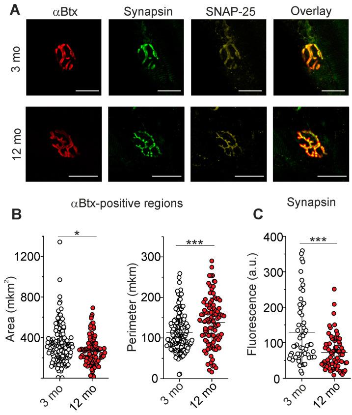 https://cdn.ncbi.nlm.nih.gov/pmc/blobs/0c34/11354816/731c20c5b897/ijms-25-08959-g005.jpg