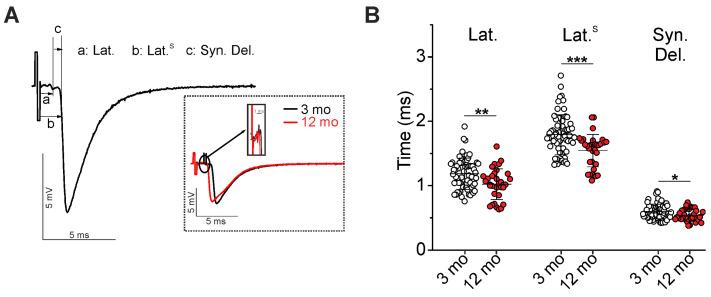 https://cdn.ncbi.nlm.nih.gov/pmc/blobs/0c34/11354816/f8dcb287c729/ijms-25-08959-g001.jpg