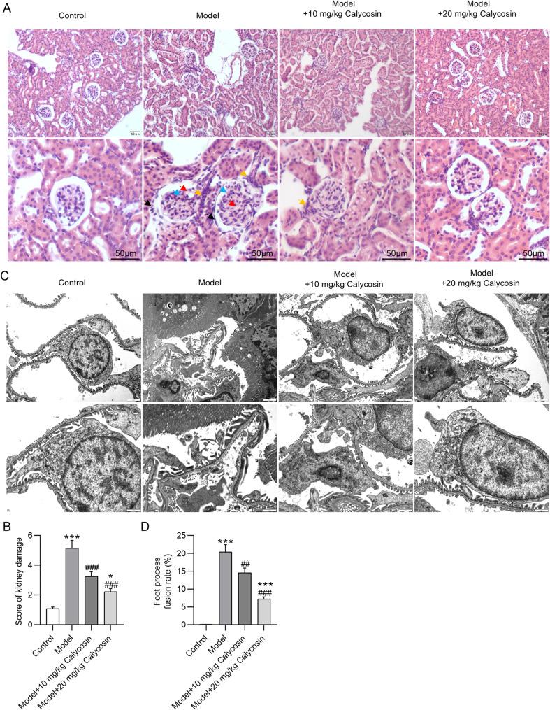 https://cdn.ncbi.nlm.nih.gov/pmc/blobs/0c36/12008911/32c4105f5e36/12882_2025_4113_Fig2_HTML.jpg