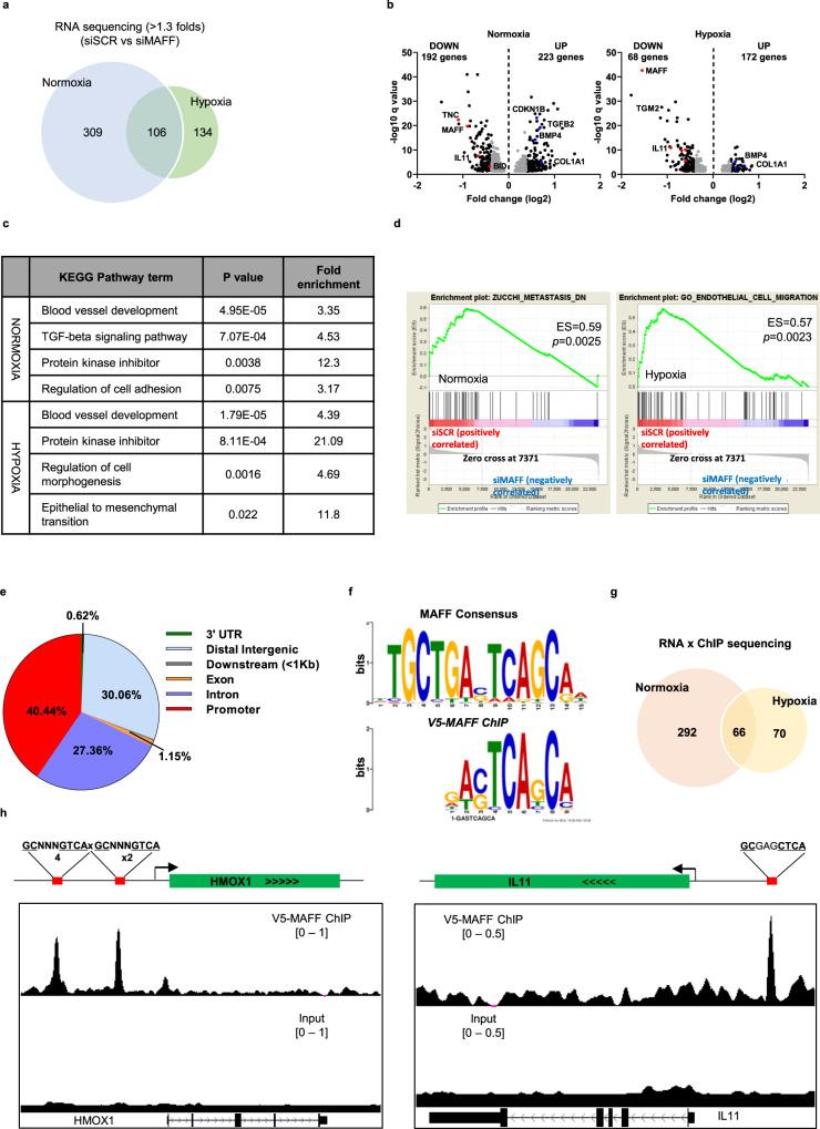 https://cdn.ncbi.nlm.nih.gov/pmc/blobs/0c36/8280233/cc3c0e0fed91/41467_2021_24631_Fig5_HTML.jpg
