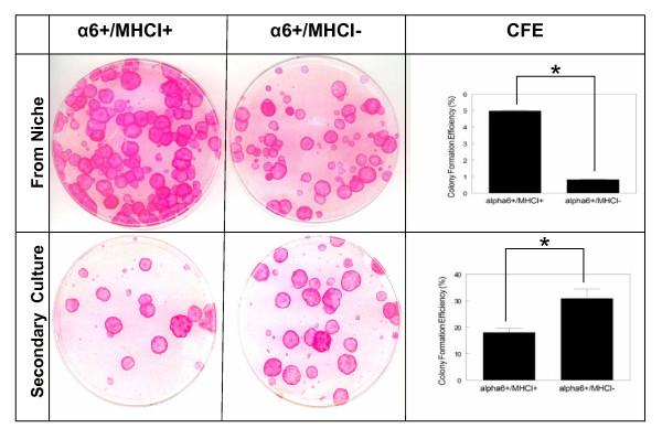 https://cdn.ncbi.nlm.nih.gov/pmc/blobs/0c37/2536675/2518c4048857/1471-2164-9-359-2.jpg