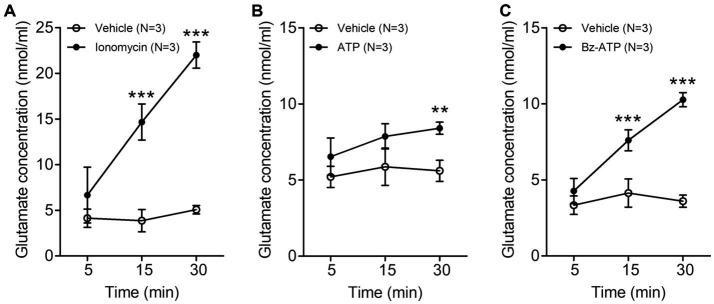 https://cdn.ncbi.nlm.nih.gov/pmc/blobs/0c38/10758013/cba18daef6ea/fnana-17-1302373-g001.jpg