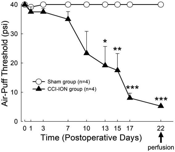 https://cdn.ncbi.nlm.nih.gov/pmc/blobs/0c38/10758013/e29eef5f92eb/fnana-17-1302373-g002.jpg